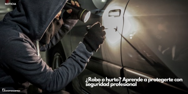 ¿Robo o hurto? Aprende a protegerte con seguridad profesional